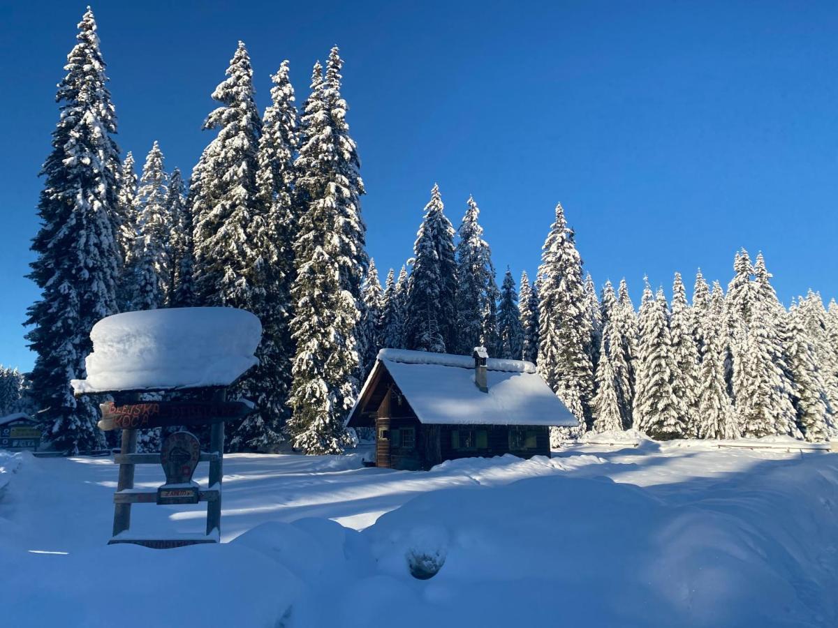 Apartma Jure Zgornje Gorje Kültér fotó
