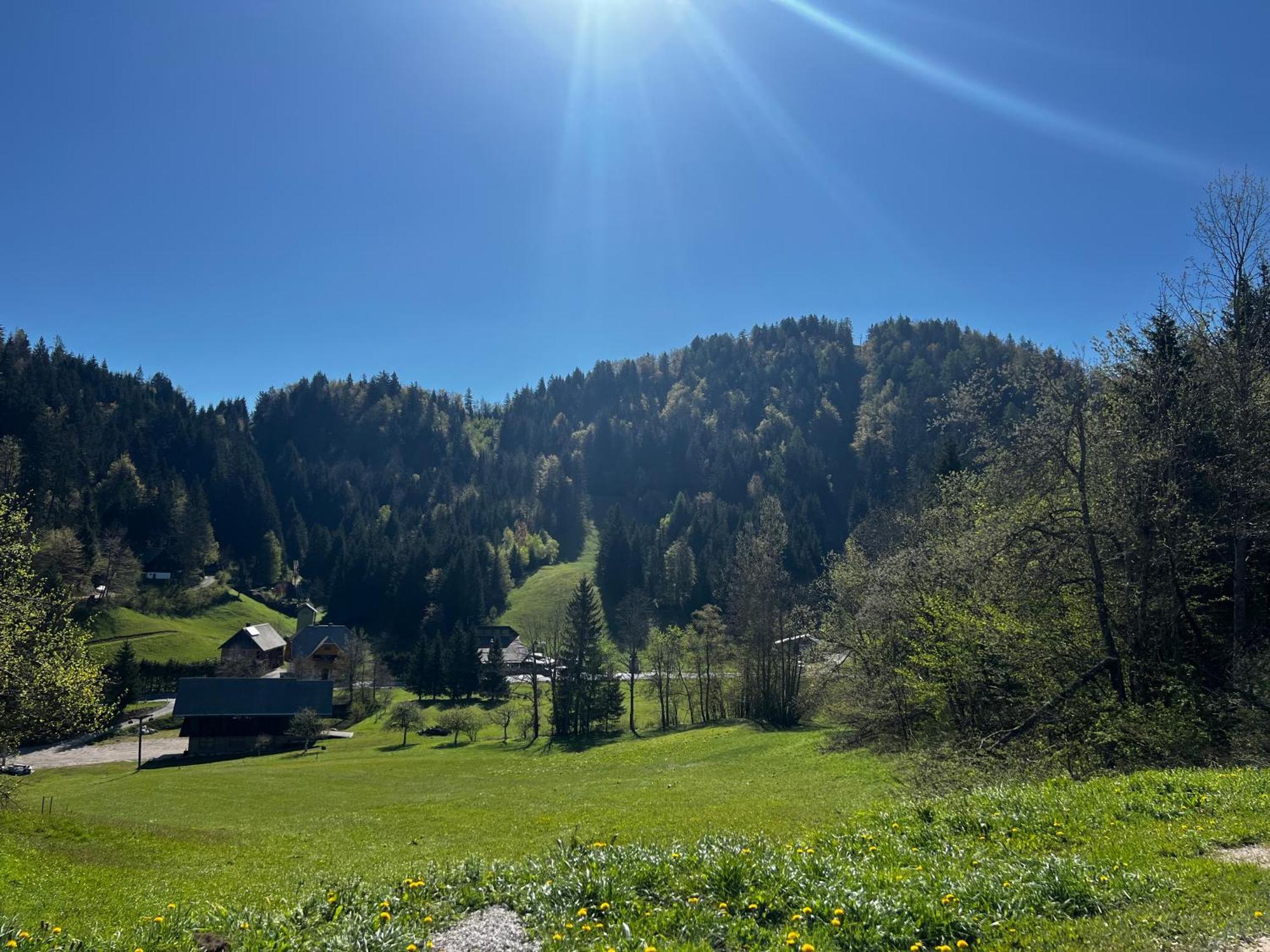 Apartma Jure Zgornje Gorje Kültér fotó